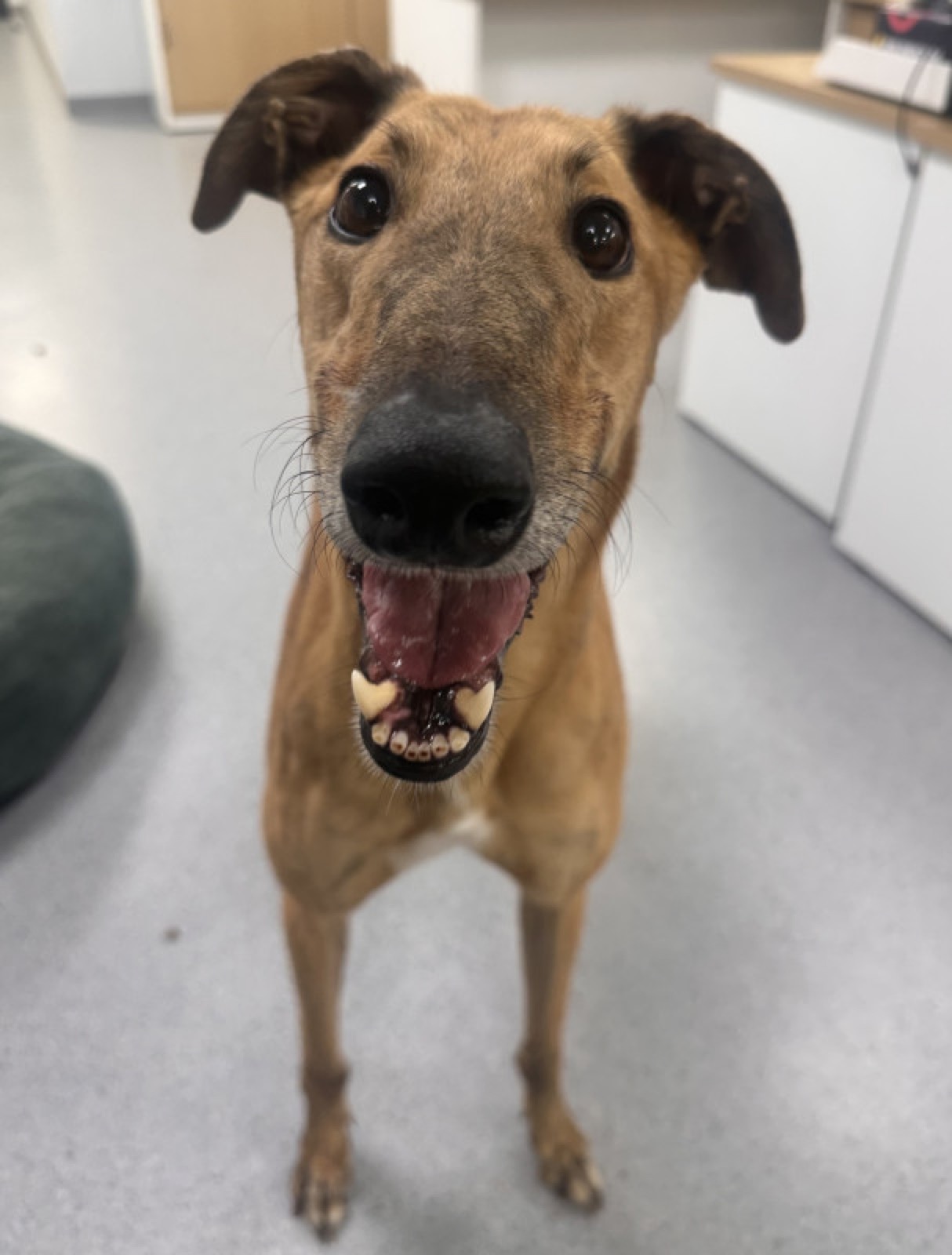Max
