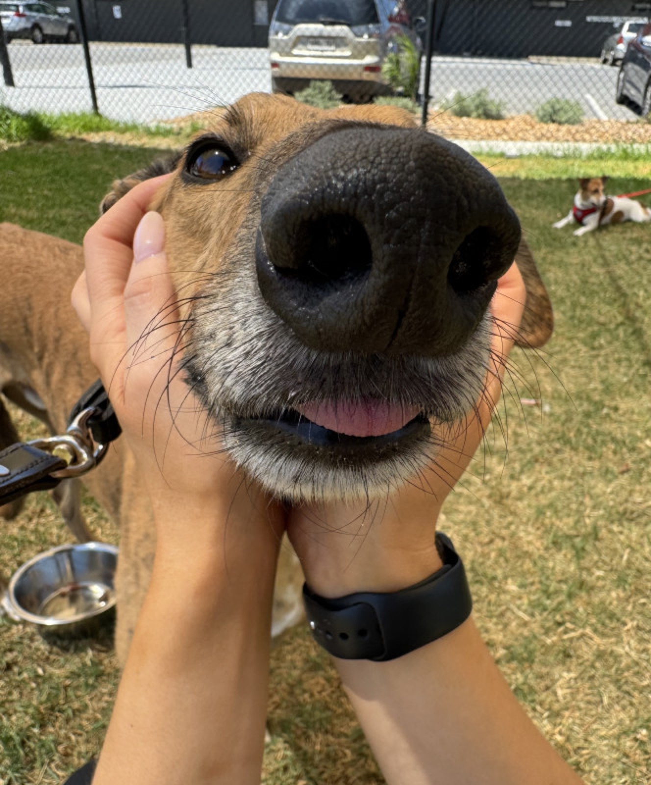 Max