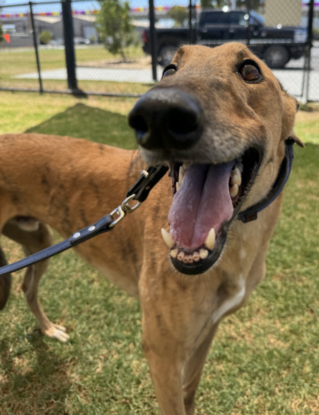 Max
