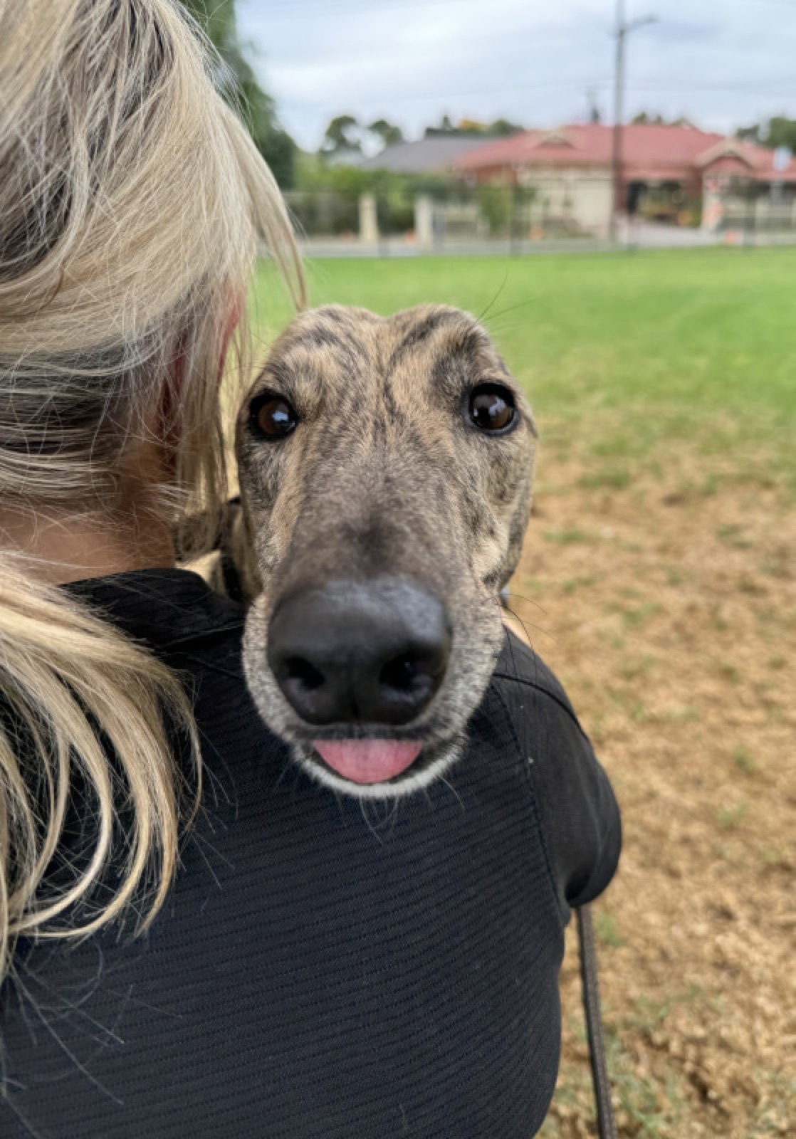 Sammy