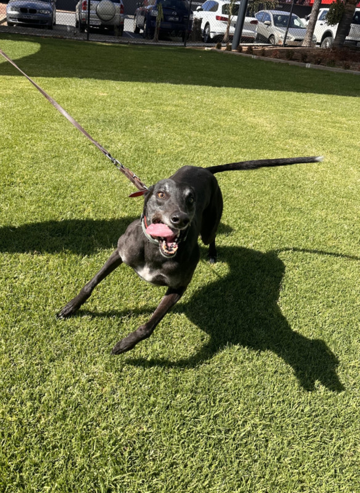 Zulu