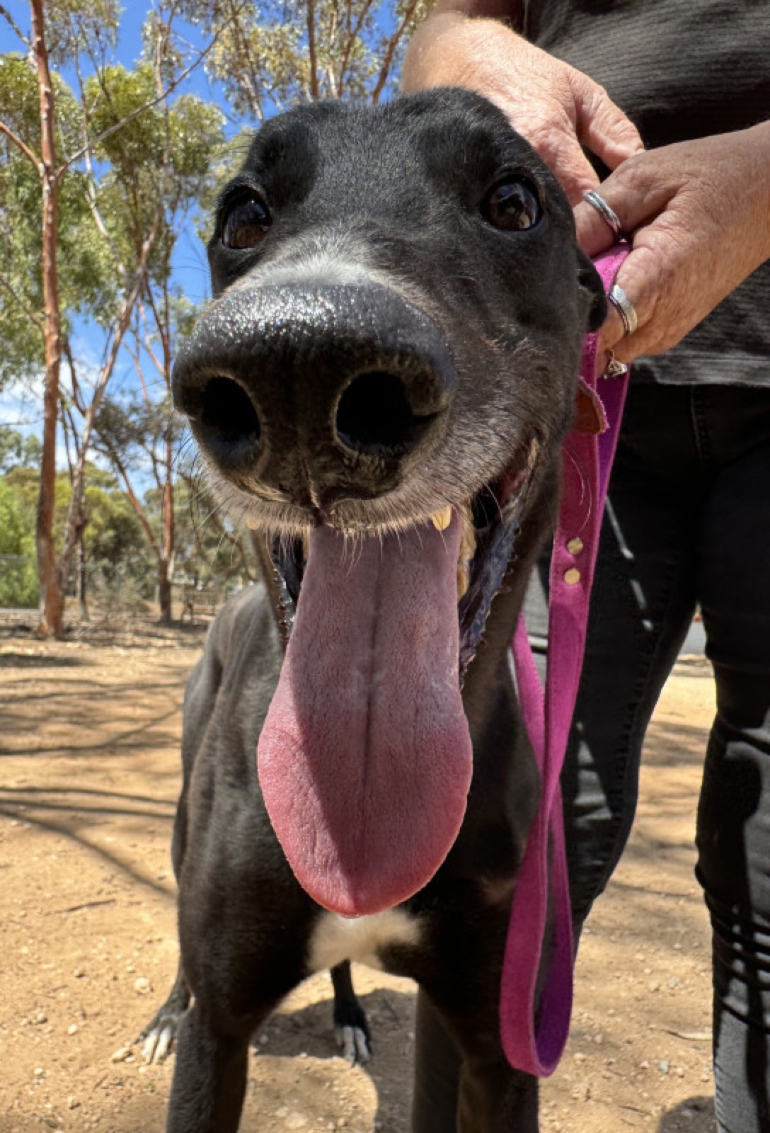 Max