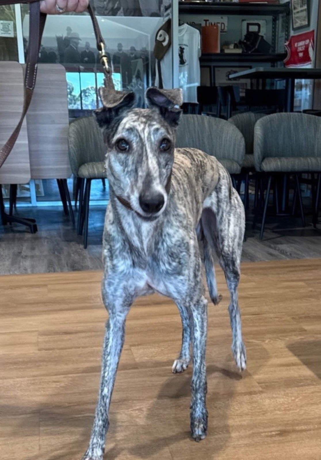Julia
